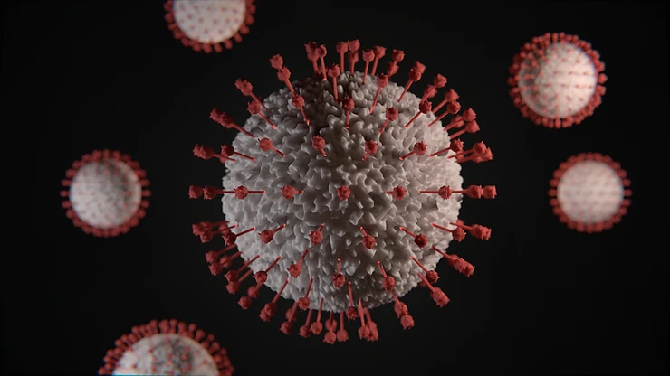 The language of Coronavirus